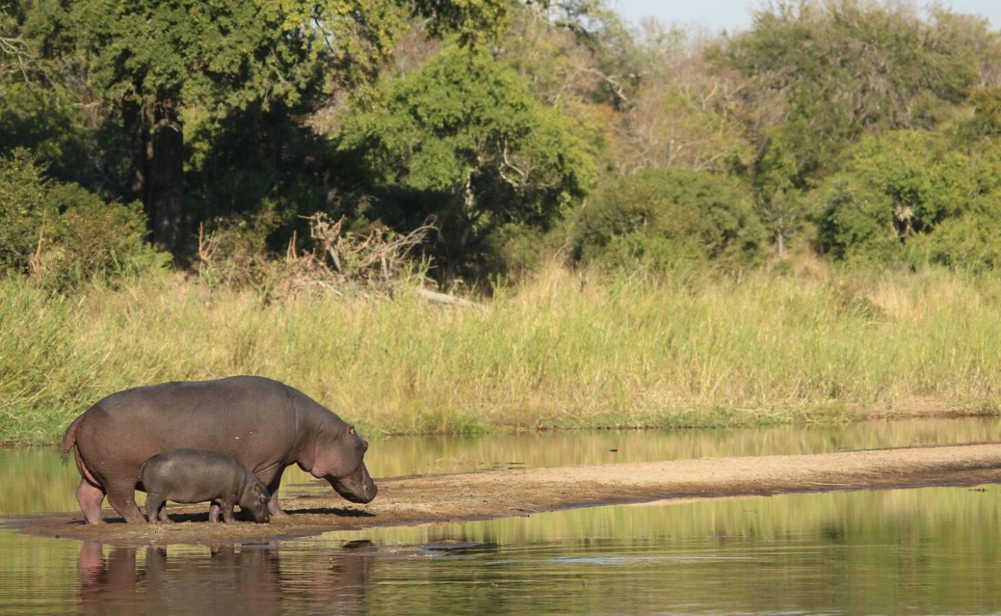 Leopard Hills Private Game Reserve Саби-Санд-Гейм-Резерв Экстерьер фото
