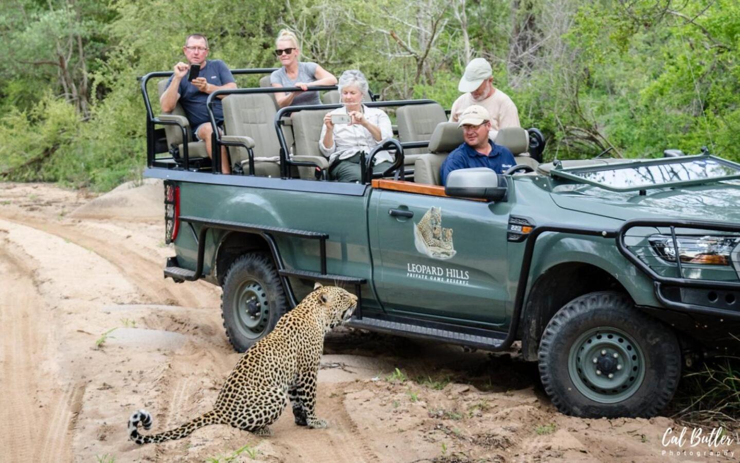 Leopard Hills Private Game Reserve Саби-Санд-Гейм-Резерв Экстерьер фото