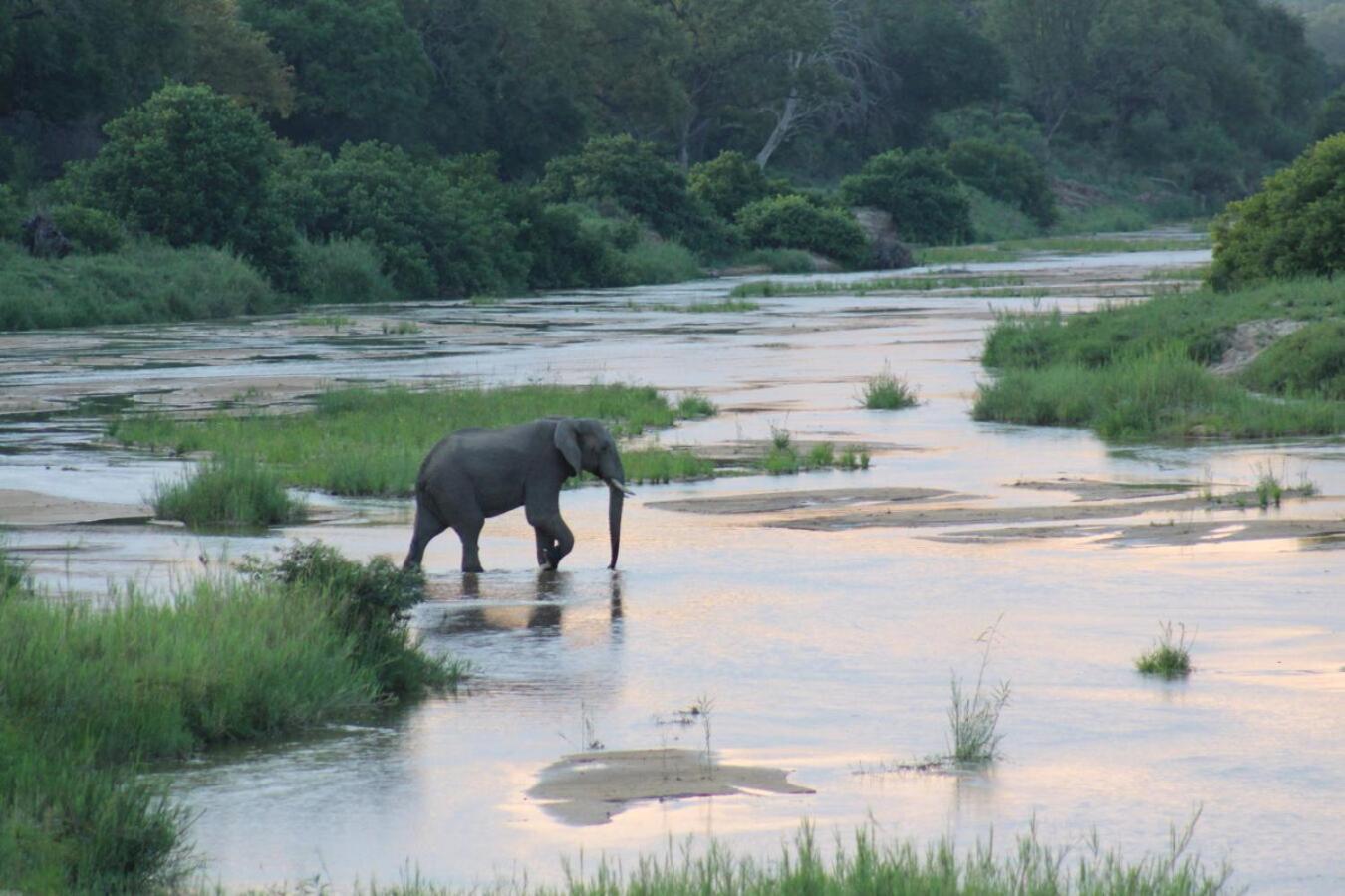 Leopard Hills Private Game Reserve Саби-Санд-Гейм-Резерв Экстерьер фото