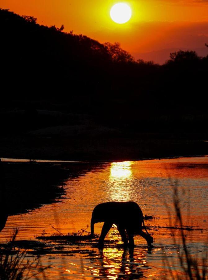 Leopard Hills Private Game Reserve Саби-Санд-Гейм-Резерв Экстерьер фото